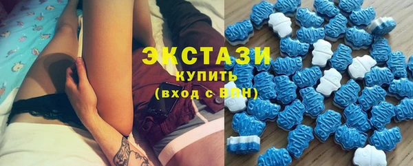 дживик Богородск